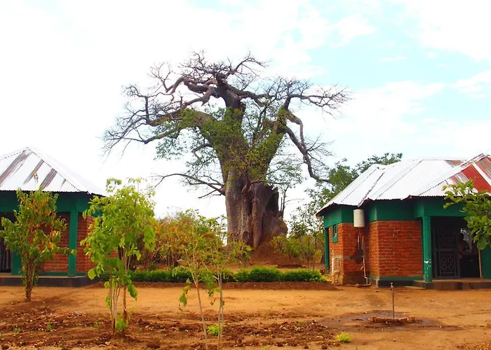 Dewclaw Baobab Safari Lodge